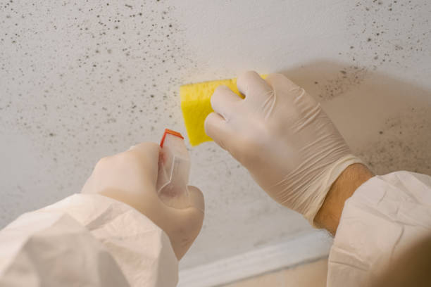 Best Forensic Mold Investigation  in Coralville, IA